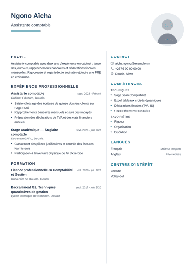 Aperçu du modèle Professionnel